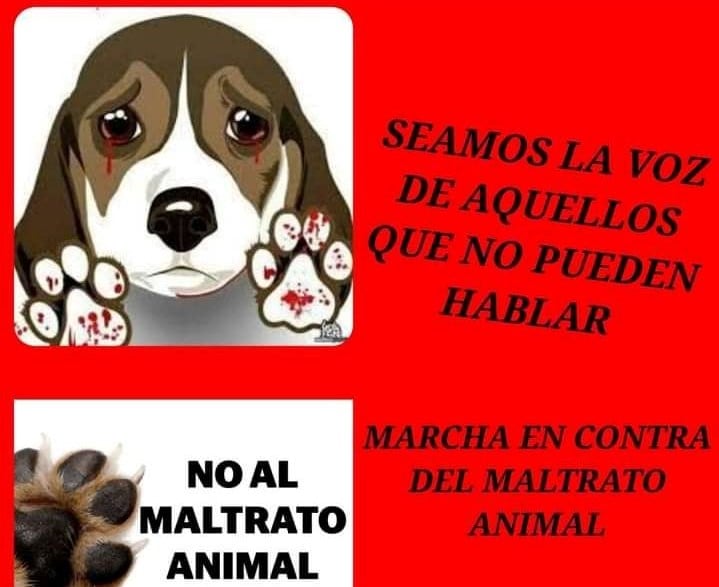Organizan marcha en contra del maltrato animal en la ciudad de Durango