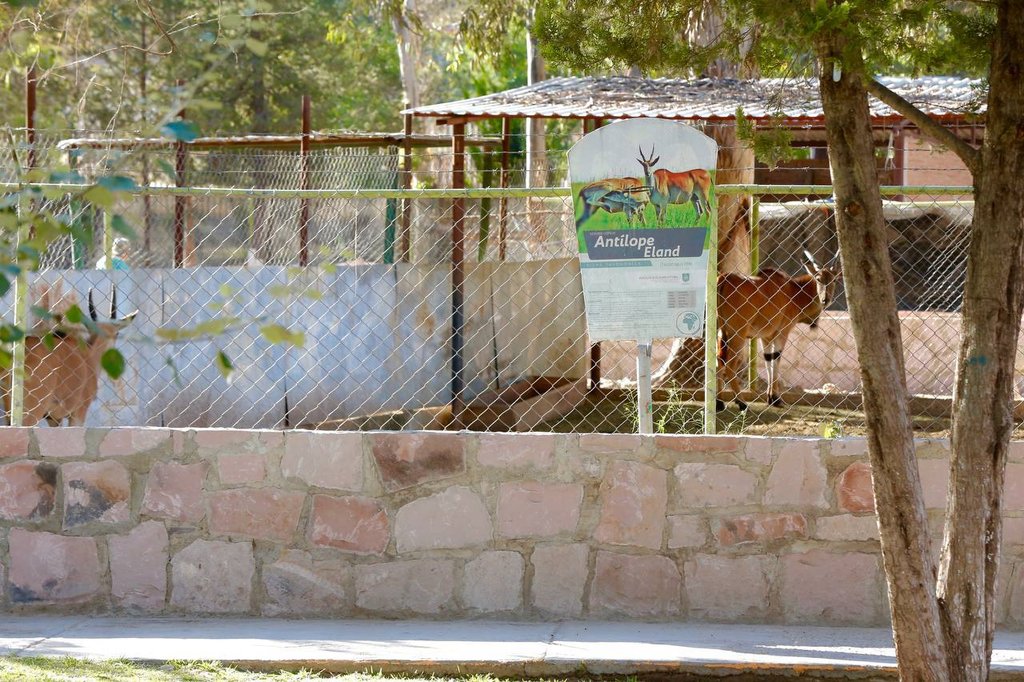 'Hay condiciones para que tercer informe municipal de Durango se realice en el zoológico'