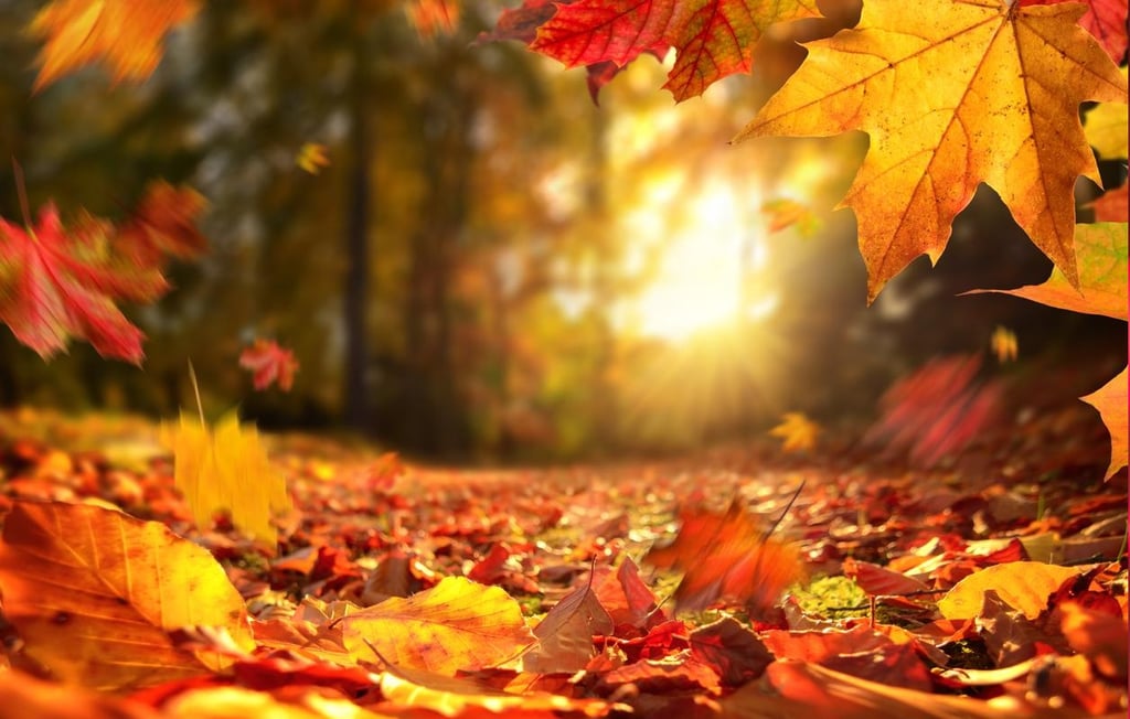 ¿Cuándo inicia el otoño este año en México?