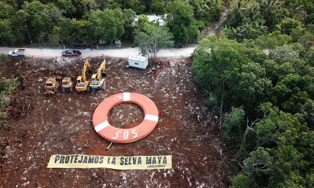 Ambientalistas denuncian daños a cenote por obras del Tren Maya en Quintana Roo