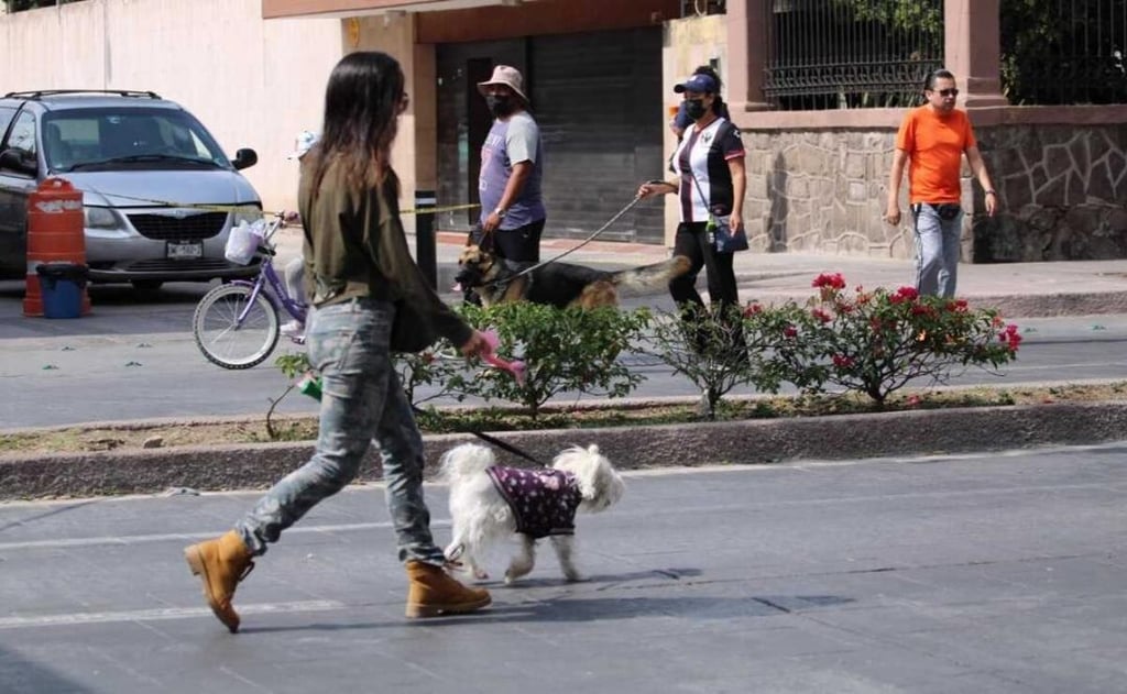 Se acerca la Carrera Perrona en la capital de San Luis Potosí