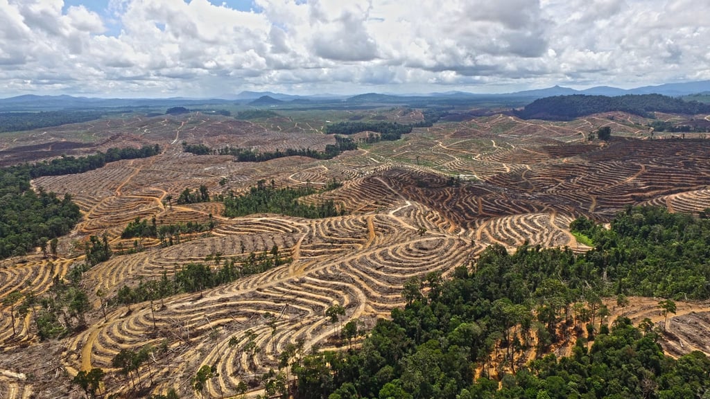 Agricultura impulsa más del 90 % de la deforestación