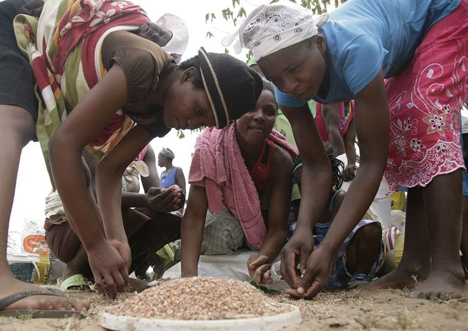 Guerra en Ucrania agravó el hambre en África, pero no es la causa principal