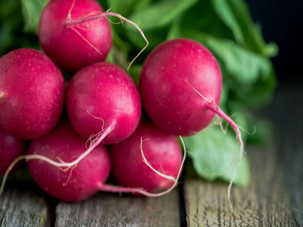 Rábano, poder antioxidante