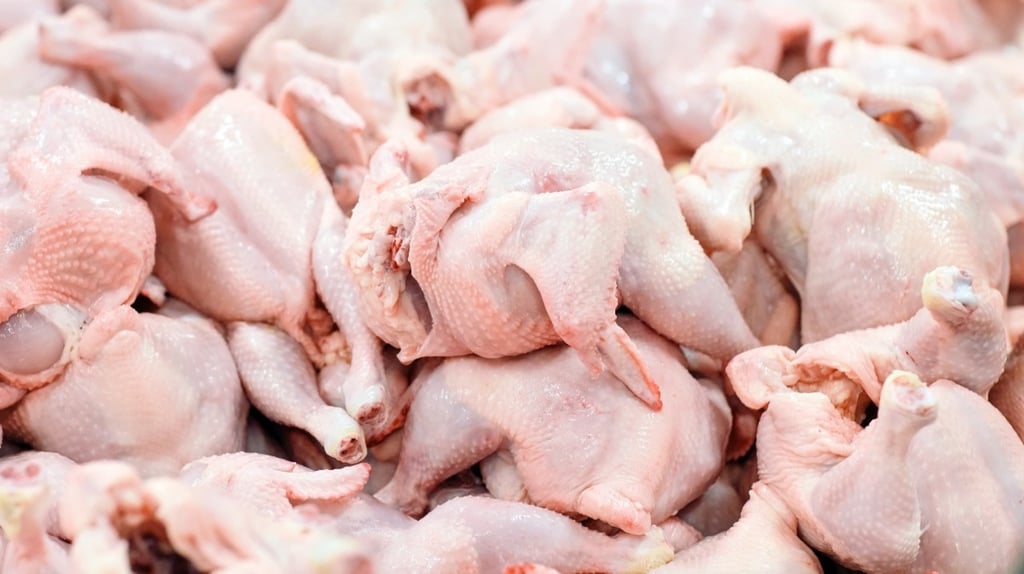 Potencial. De enero a agosto de 2022, en Durango se registró una producción de 187 mil 875 toneladas de pollo.