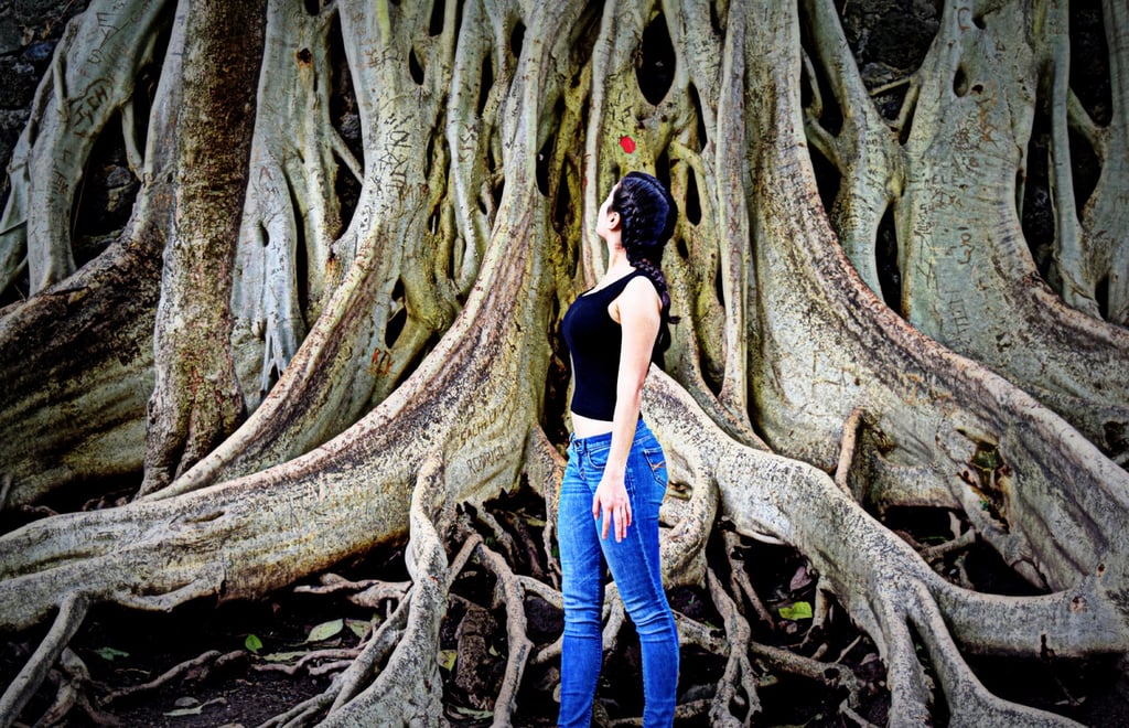 Parque Barranca de Chapultepec