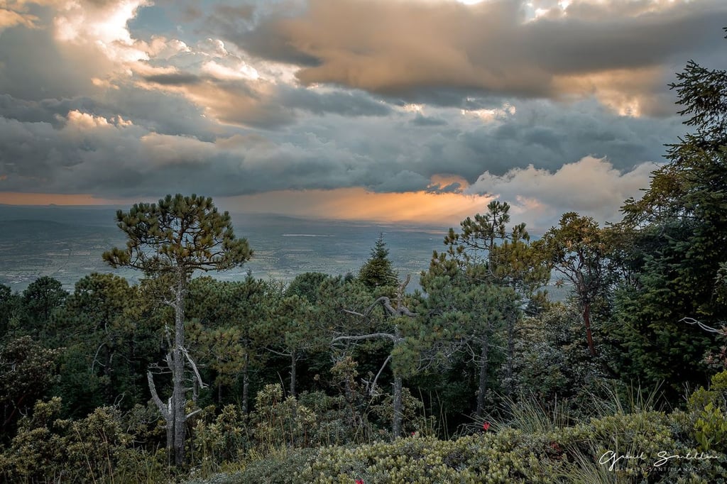 Parque Natural El Rey: mucho más que una reserva