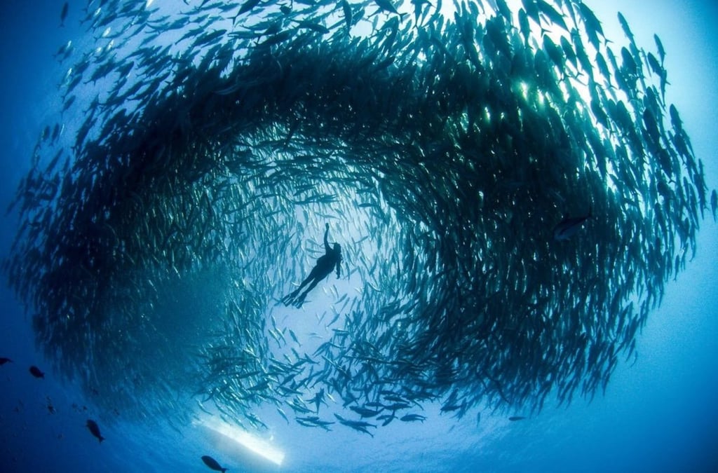 Cabo Pulmo, un santuario natural