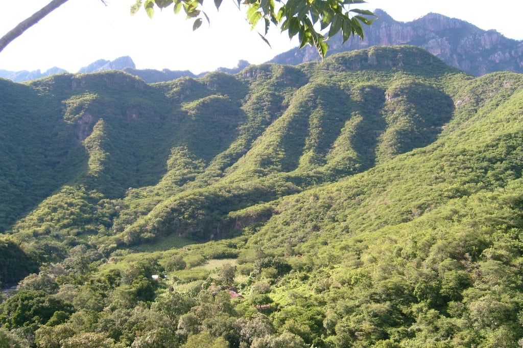 Volcadura en sierra de Santiago Papasquiaro deja un muerto y 3 heridos