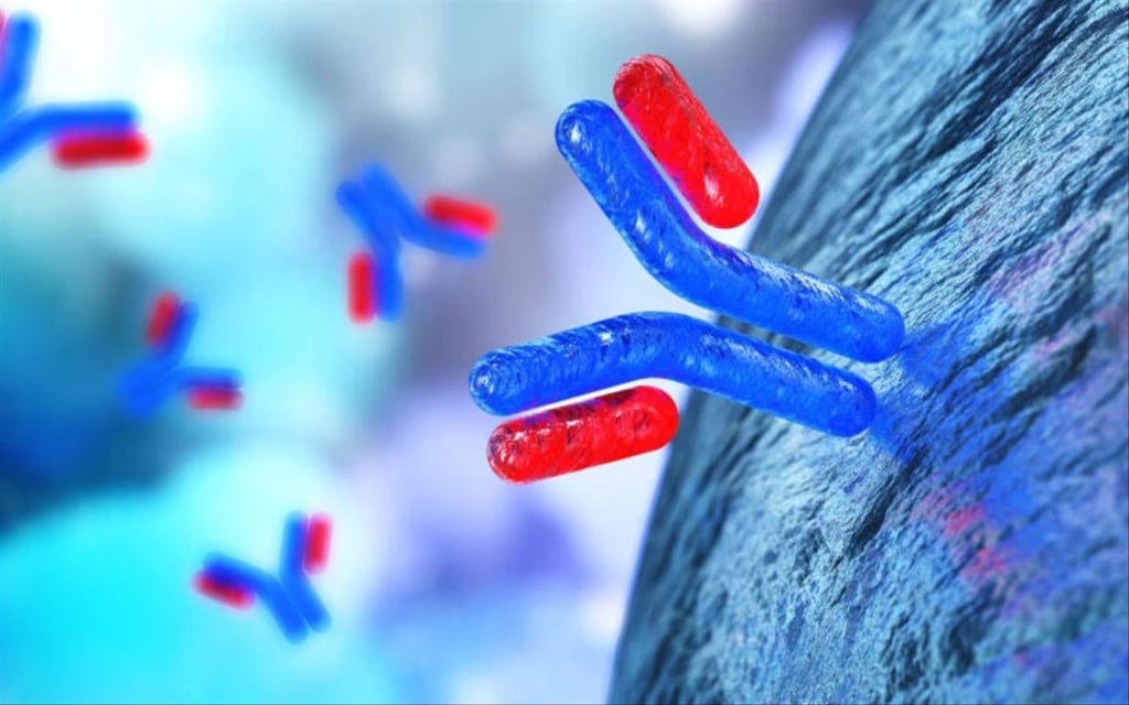 Crean proteínas inexistentes que imitan a inmunoglobulinas