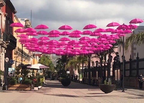 Paseo Constitución 'se pinta' de rosa