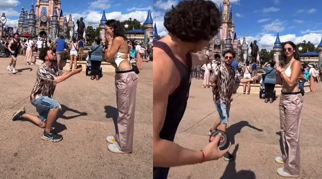 ¿Es verdad que Corrieron a Luisito Comunica por pedirle matrimonio a Ary en Disney?