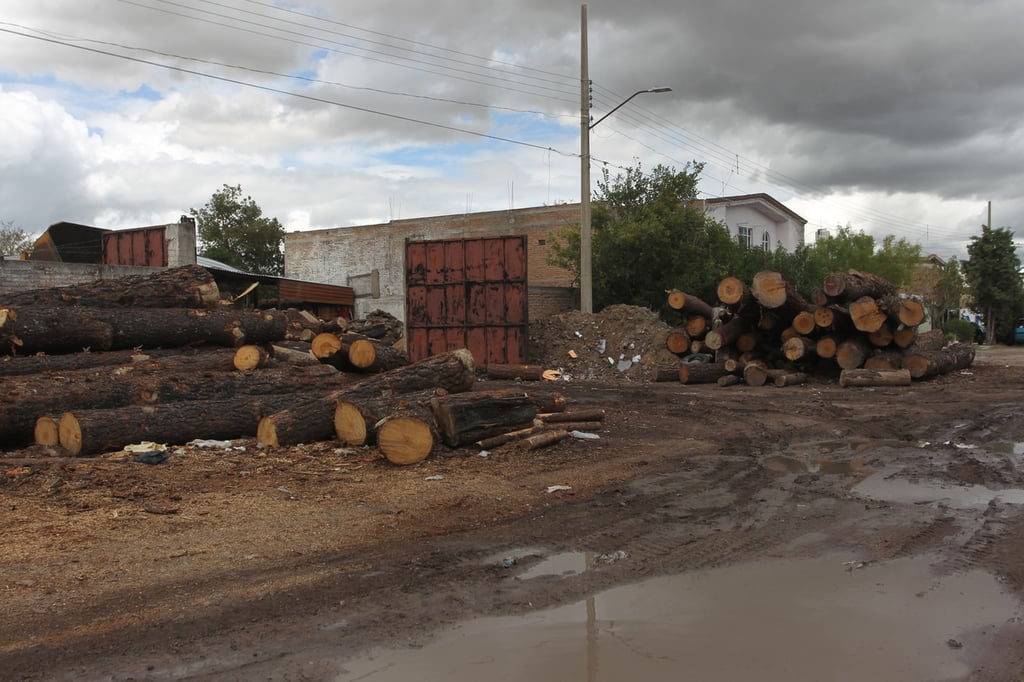 Muere trabajador maderero al caerle un tronco que manipulaba