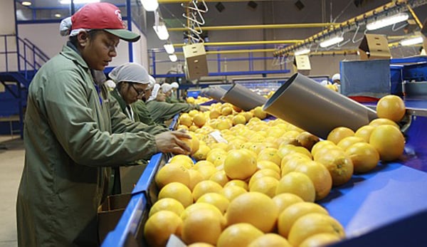 Potencializa México capacidad para irradiar frutas y vegetales frescos