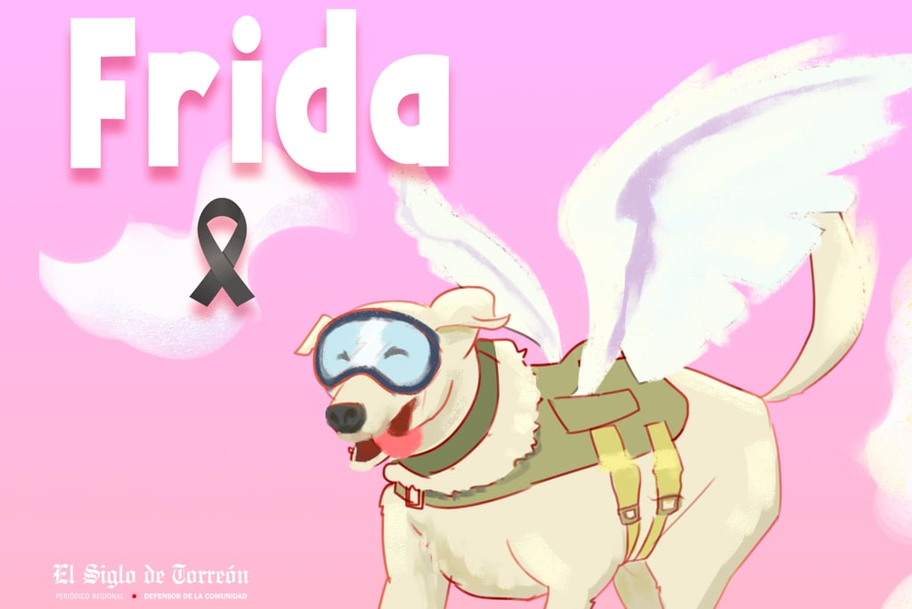 Perrita Frida, símbolo de esperanza e inspiración