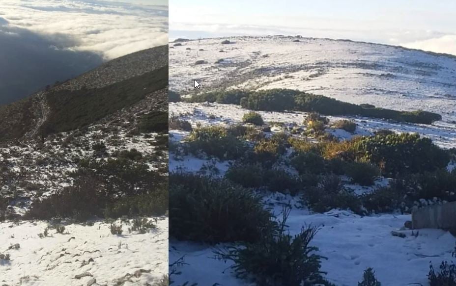 Primera nevada deja capa de 7 a 9 centímetros en Galeana, Nuevo León