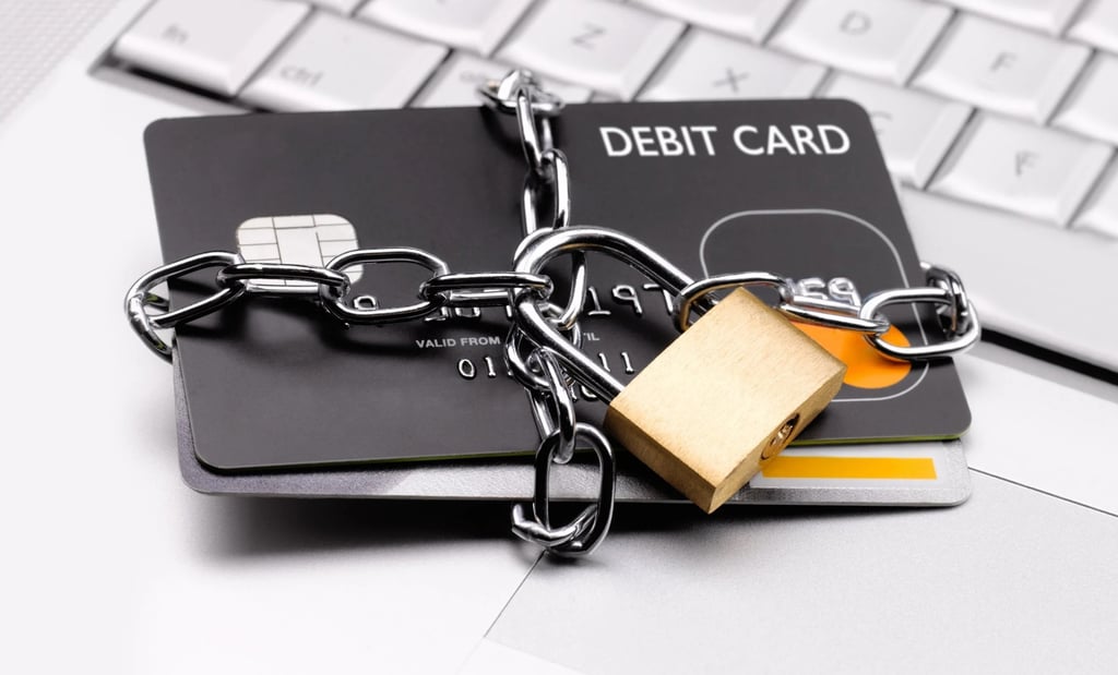 ¿Qué es el Día de no comprar nada?