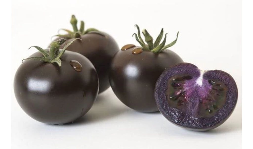 Tomate morado, superalimento