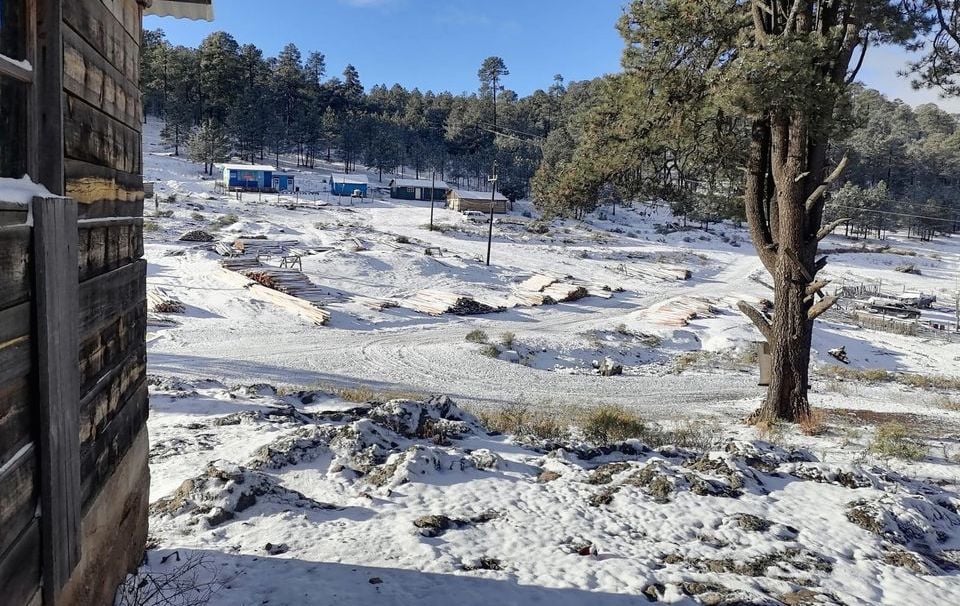 Al menos 13 localidades de Durango han reportado nieve y aguanieve: CEPC