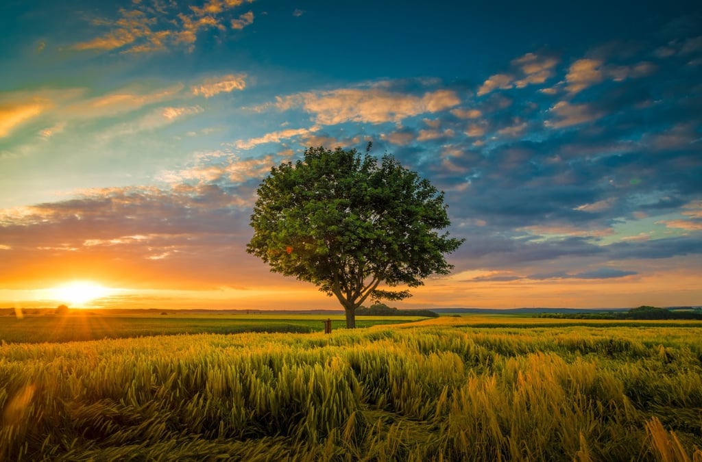 ¿Qué son las cabañuelas y por qué se dice que predicen el clima?