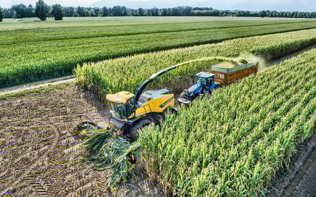 Brasil recogió cosecha récord de 263 toneladas de granos en 2022