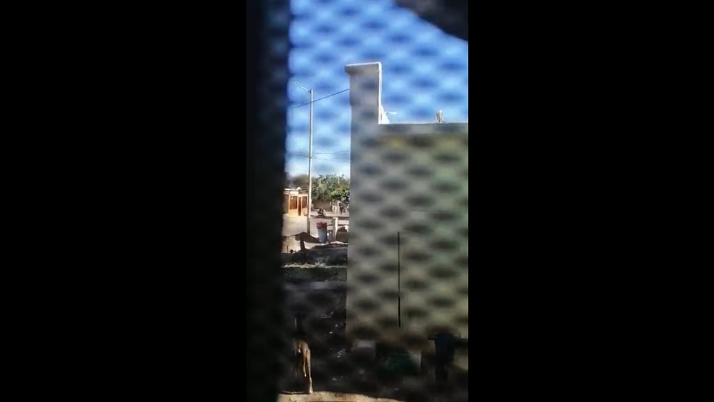 VIDEO: Fuertes balaceras provocan pánico en población de Guaymas, Sonora