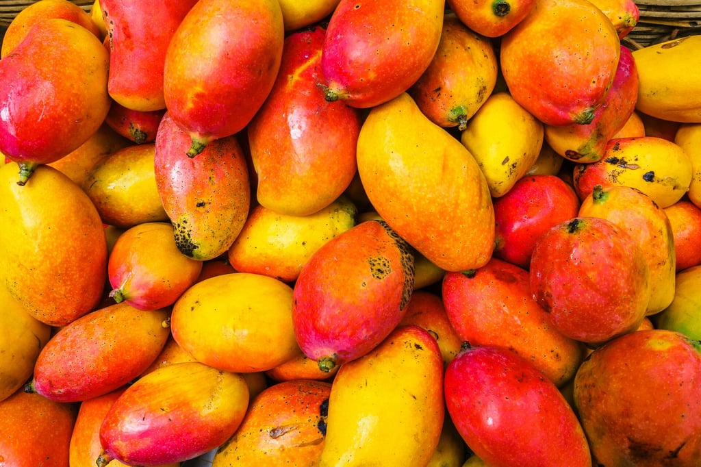 México, en quinto puesto a nivel mundial en producción de mango