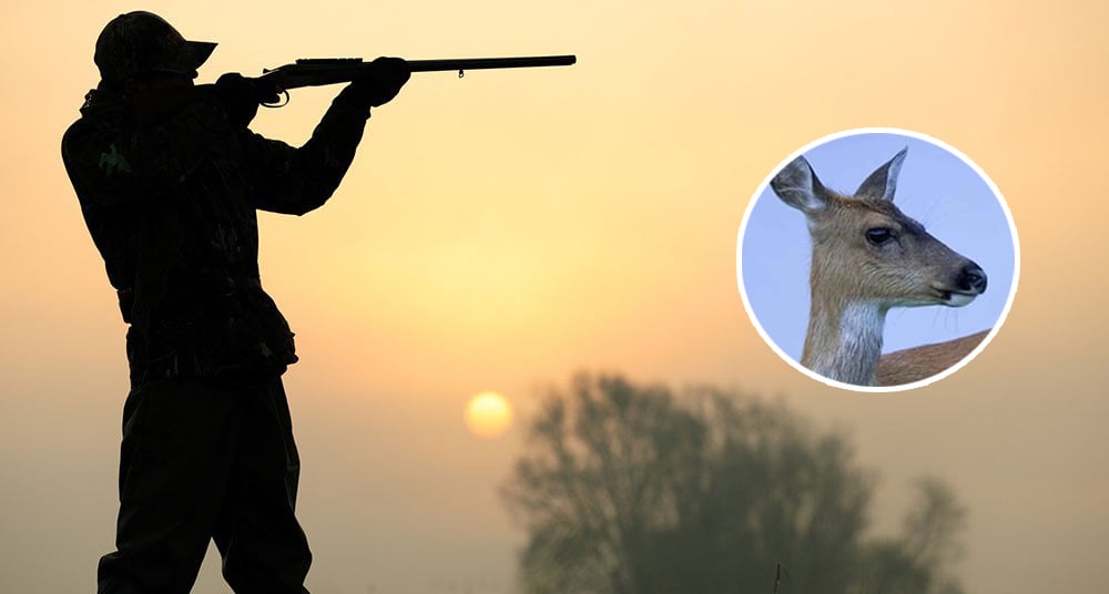 Cazador mata a su amigo al confundirlo con un venado