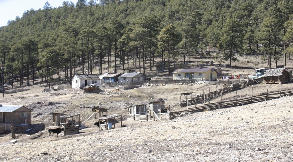 Tercera tormenta invernal podría generar aguanieve o nieve en la Sierra de Durango