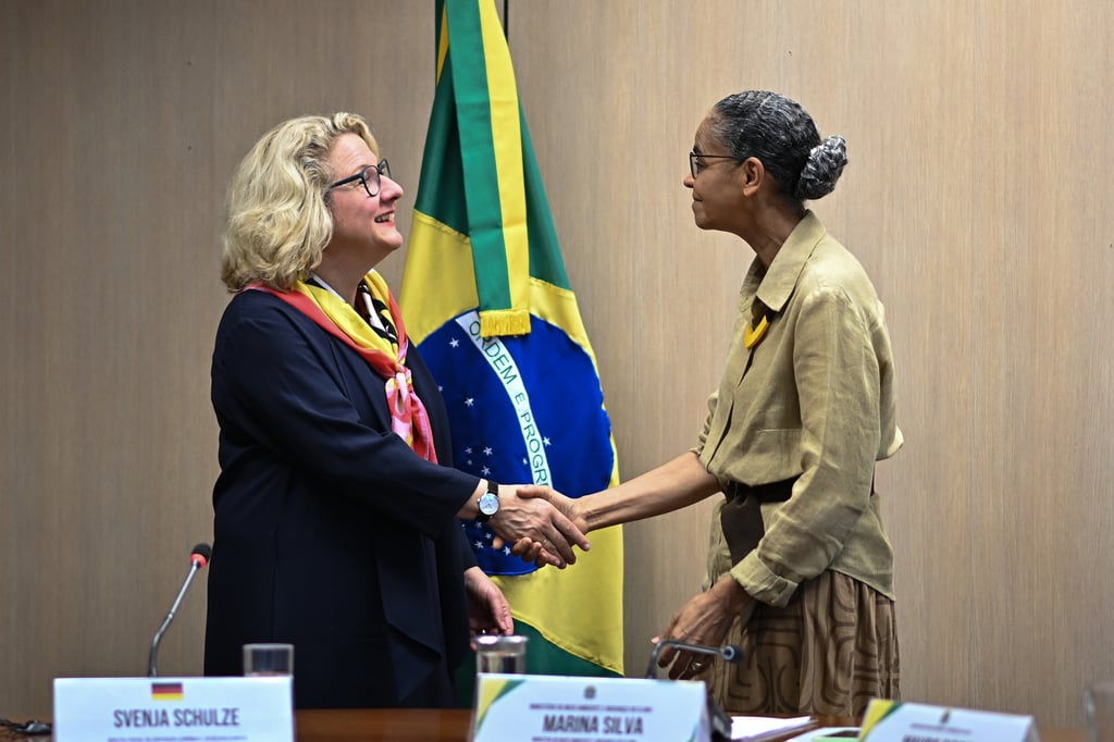 Alemania anuncia fondo para políticas ambientales en Brasil