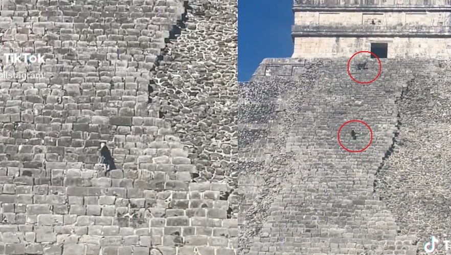 Perritos burlan la seguridad de Chichén Itzá