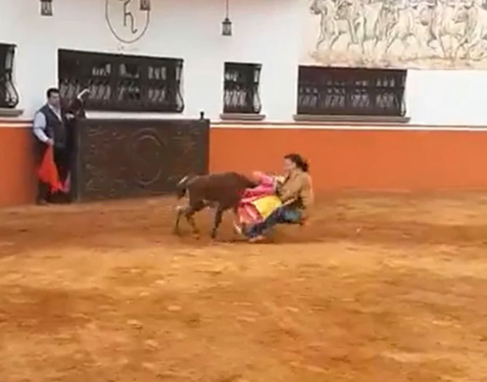 VIDEO: Senadora de Morena le hace a la torera y termina embestida