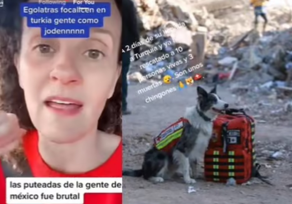 Mujer argentina llama 'infumables' a mexicanos por enviar perritos rescatistas a Turquía