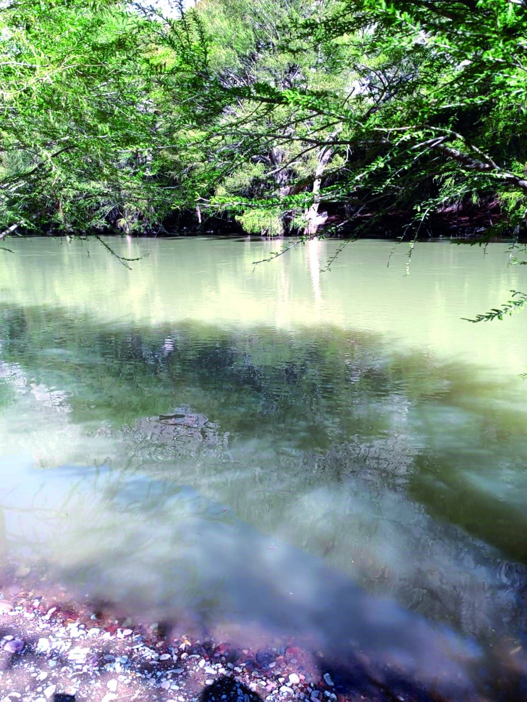 Integran organismo para cuidar el Cañón de Fernández