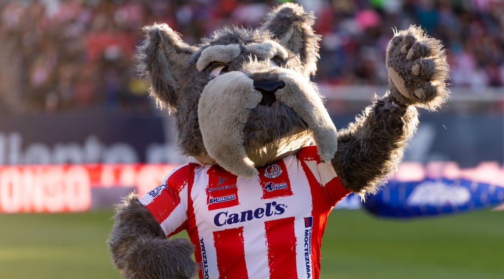 La explicación geográfica por la que un Schnauzer es la mascota del Atlético San Luis