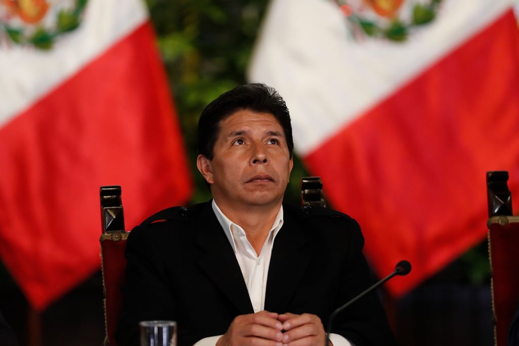 Pedro Castillo pide a la CIDH su inmediata liberación y restitución ...