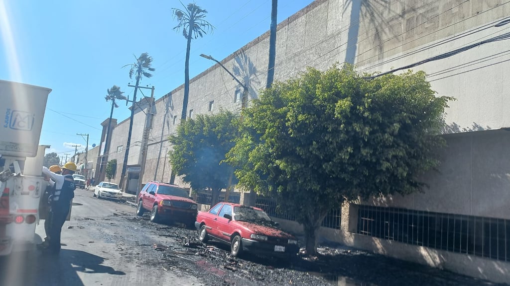 Se registra incendio de palmeras en calle Negrete, en Durango