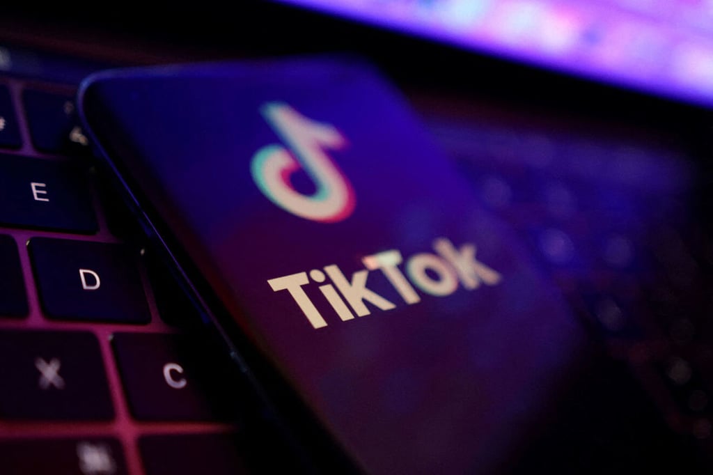 Quién puede ver tu perfil de Tik Tok