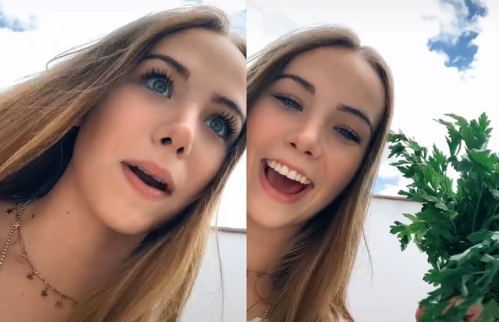 VIRAL: Se burlan de 'tiktoker' por confundir el perejil con flores