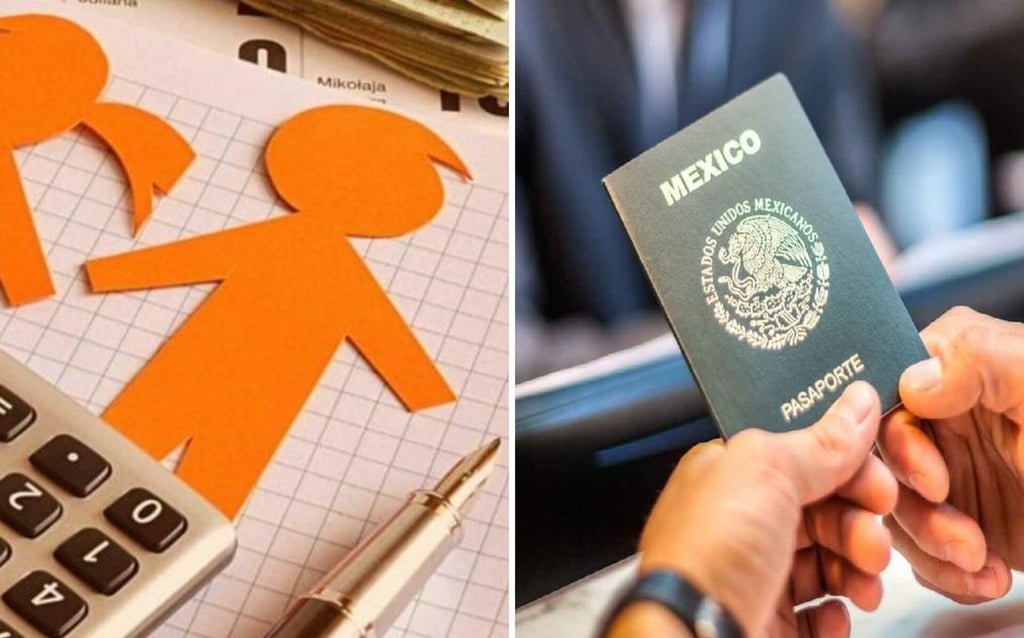 Sin Pasaporte Ni Licencia Estas Serán Todas Las Restricciones En