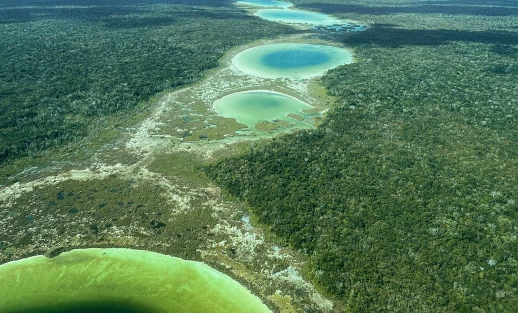 Tren Maya es como un sueño que pronto se volverá realidad: AMLO