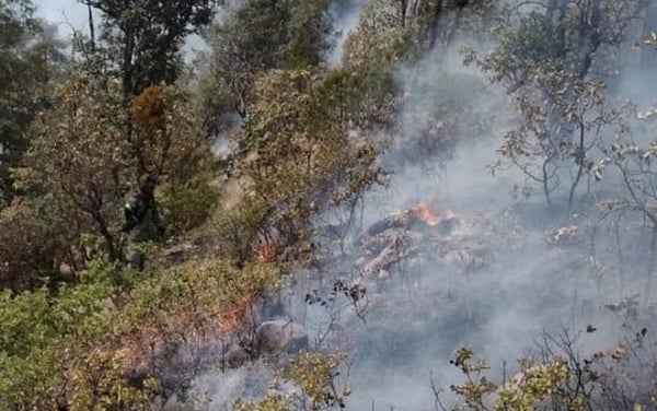 Hay dos incendios forestales activos: uno en Mezquital y otro en San Dimas