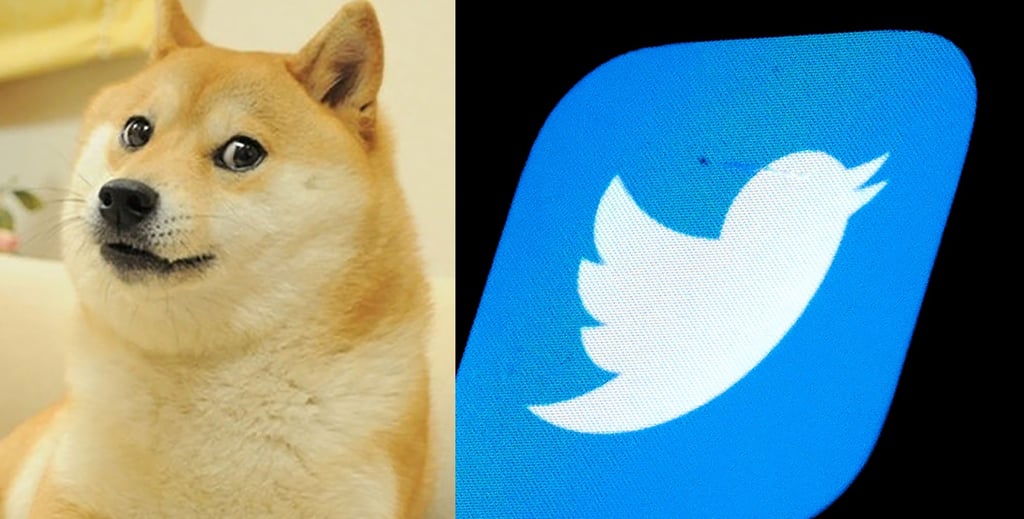 ¿Por qué el meme de 'Doge' remplazó el logo del pajarito en Twitter?