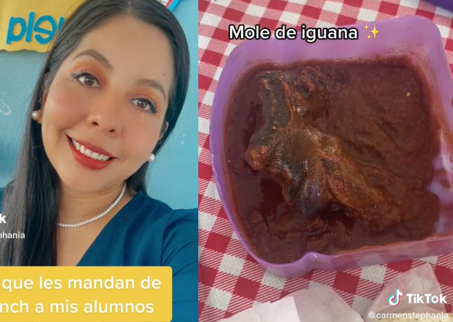Niño sorprende al llevar mole de iguana de lonche a su escuela