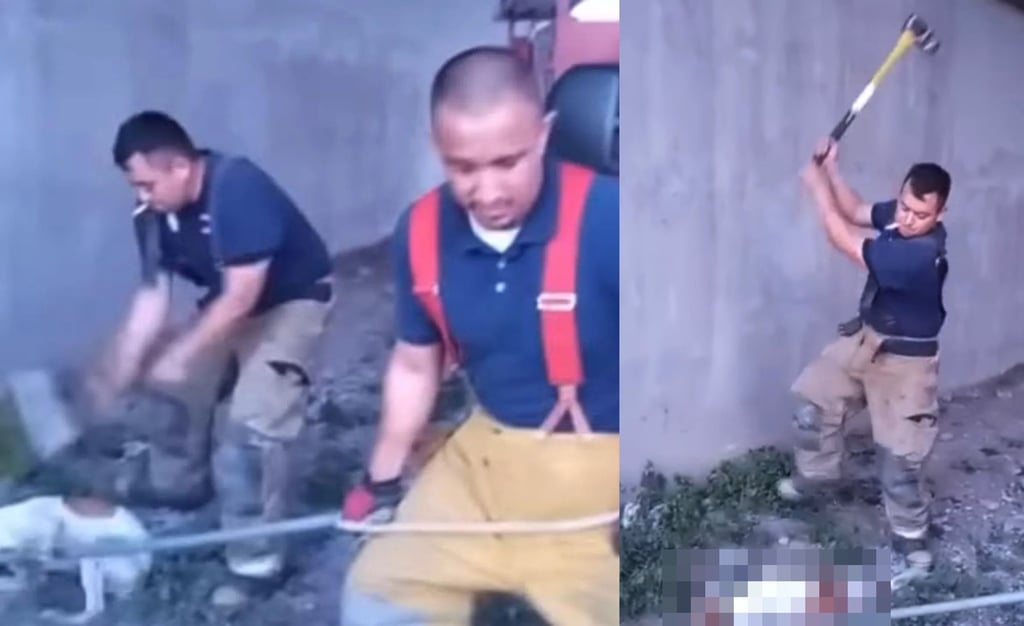VIDEO: Exhiben a bomberos de Monclova asesinando cruelmente a perros