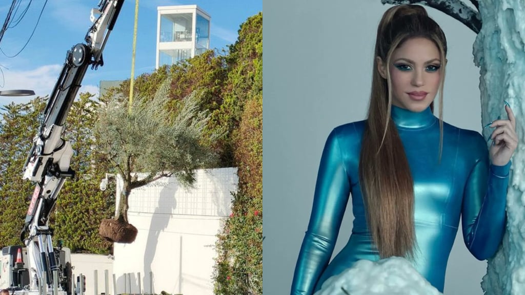 ¿Shakira se llevó un árbol de su casa?; Esto sabemos