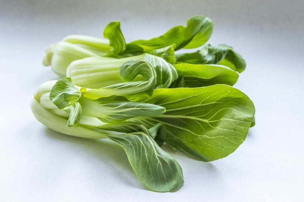 Pak Choi ¿qué es?