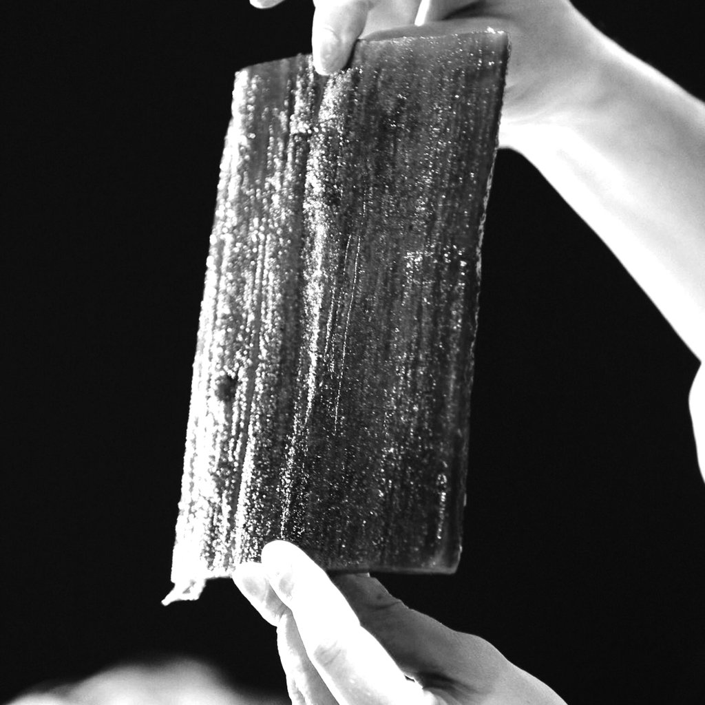 Yacaratia, madera comestible