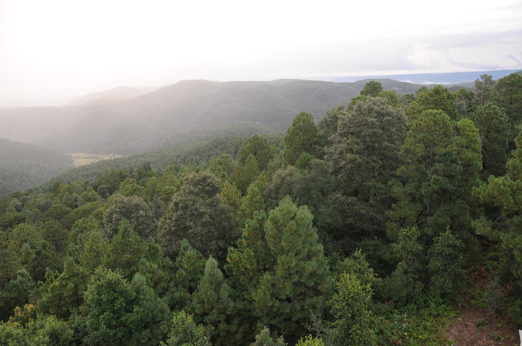 Impulsan en Durango el desarrollo económico regional