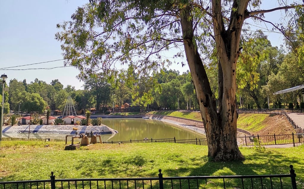 La temperatura en Durango ha aumentado por falta de árboles